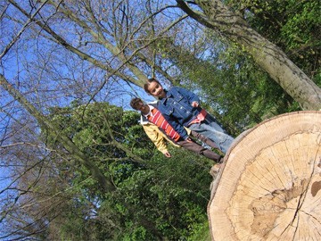 boom als evenwichtsbalk boom als evenwichtsbalk