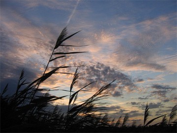 zon, wolken, tegenlichtopname zon, wolken, tegenlichtopname