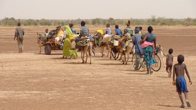 migration op de vlucht